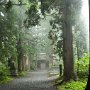 大雨！　天気予報は曇り晴れだったが、現実は雨！　頭に来て朝８時ぐらいまで寝る。吾妻山に登る予定だったが当然キャンセル。